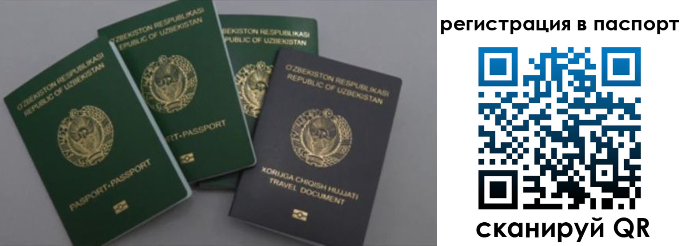 прописка от собственника в Новосибирской области